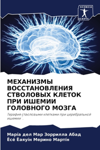 МЕХАНИЗМЫ ВОССТАНОВЛЕНИЯ СТВОЛОВЫХ КЛЕТ&