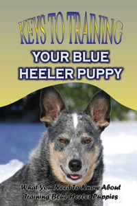 Keys To Training Your Blue Heeler Puppy