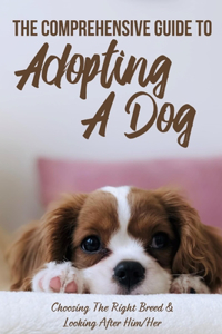 The Comprehensive Guide To Adopting A Dog