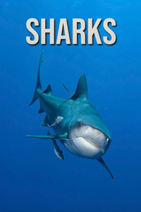 Sharks: Fun Learning Facts About Sharks