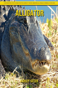 Alligator