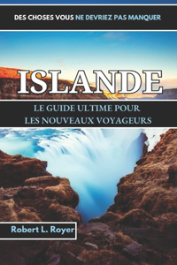 Des choses Vous ne devriez pas manquer-Guide de voyage en Islande 2024