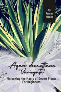 Agave desmettiana 'Variegata'