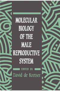Molecular Biology of the Male Reproductive System
