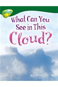 Oxford Reading Tree: Level 12: Treetops Non-Fiction: What Can You See in This Cloud?