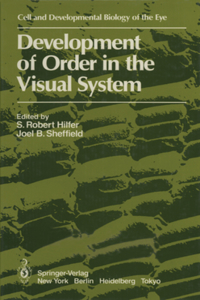 Development of Order in the Visual System