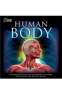 Human Body