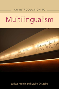 Advanced Guide to Multilingualism