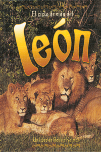 El Ciclo de Vida del León (the Life Cycle of a Lion)