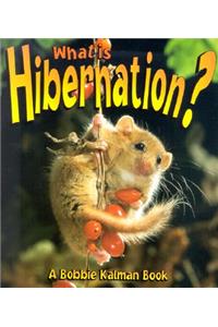 What is Hibernation