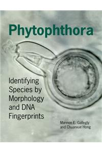 Phytophthora