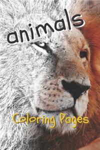 Animal Coloring Pages