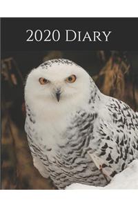 2020 Diary: Weekly Planner & Monthly Calendar - Desk Diary, Journal, Snowy Owl, Alaskan Owls, Alaska, North American Wildlife, Arctic Wildlife, Arctic Owl, Raw 