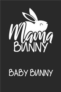 Mama Bunny Baby Bunny