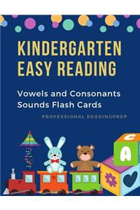 Kindergarten Easy Reading Vowels and Consonants Sounds Flash
