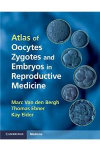 Atlas of Oocytes, Zygotes and Embryos in Reproductive Medicine Hardback