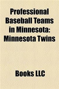 Professional Baseball Teams in Minnesota