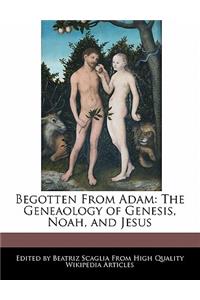 Begotten from Adam