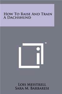 How To Raise And Train A Dachshund