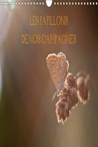 Papillons De Nos Campagnes 2017