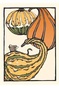 Gourds: Boxed Set of 6 Cards