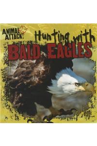 Hunting with Bald Eagles