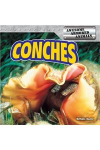 Conches