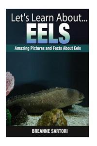 Eels: Amazing Pictures and Facts about Eels