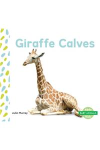 Giraffe Calves