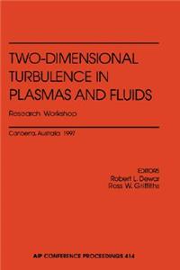 Two-Dimensional Turbulence in Plasmas and Fluids Research Workshop