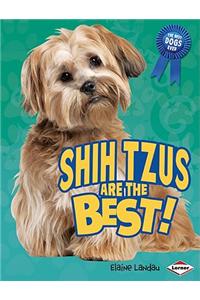 Shih Tzus Are the Best!