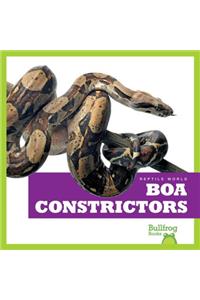 Boa Constrictors