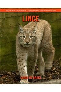 Lince