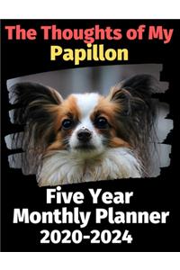 The Thoughts of My Papillon