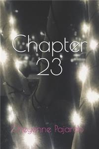 Chapter 23