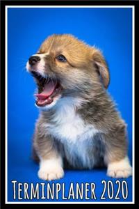 Terminplaner 2020