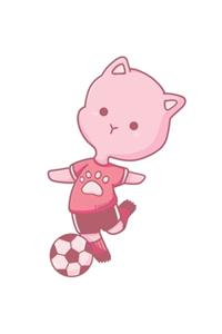 Soccer Cat Notebook