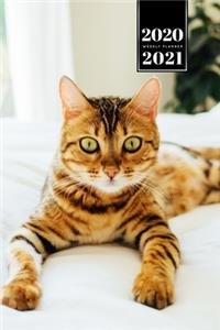 ????? ?? ??? ?? ?? ????? ??? 2020 - 2021 A5 ??????? &