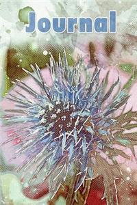 Journal