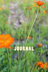 Journal