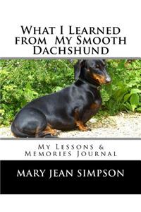 What I Learned from My Smooth Dachshund
