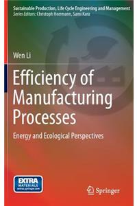 Efficiency of Manufacturing Processes