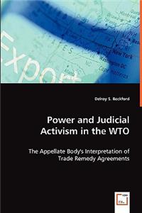 Power and Judicial Activism in the WTO