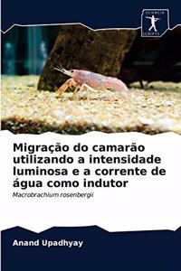 Migração do camarão utilizando a intensidade luminosa e a corrente de água como indutor