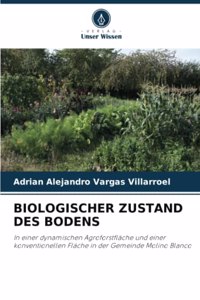 Biologischer Zustand Des Bodens