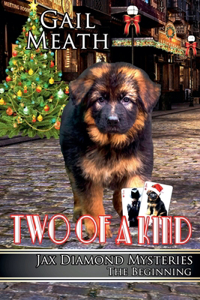 Two of a Kind - The Beginning