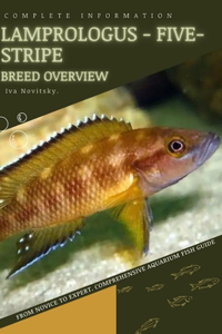 Lamprologus - Five-Stripe