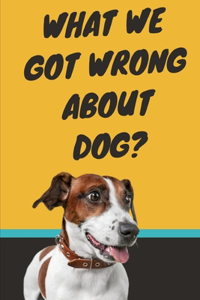 What We Got Wrong About Dog?