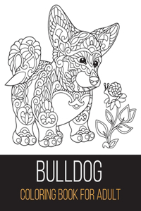 Bulldog coloring book for adult