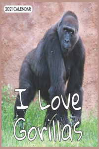 I Love Gorillas